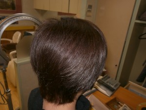 硬い髪に白髪が少し気になり始めるころにはのイメージ